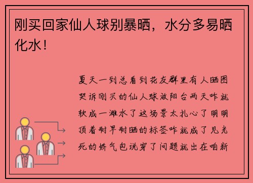 刚买回家仙人球别暴晒，水分多易晒化水！